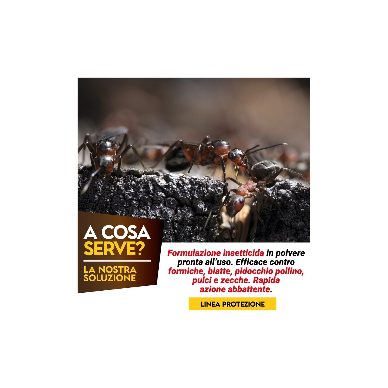 Albakill antiformiche, scarafaggi, insetti Striscianti 5 kg - Albagarden